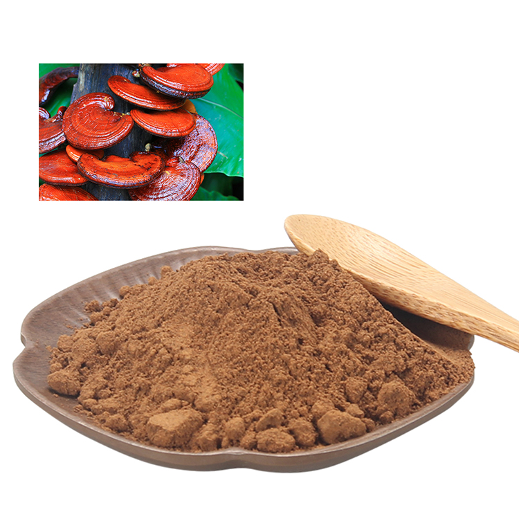 What Makes a Ganoderma Supplement USDA Organic Certified